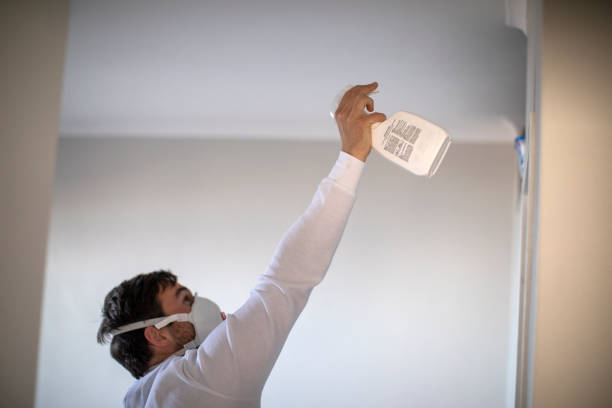 Best Mold Remediation Services  in Diboll, TX
